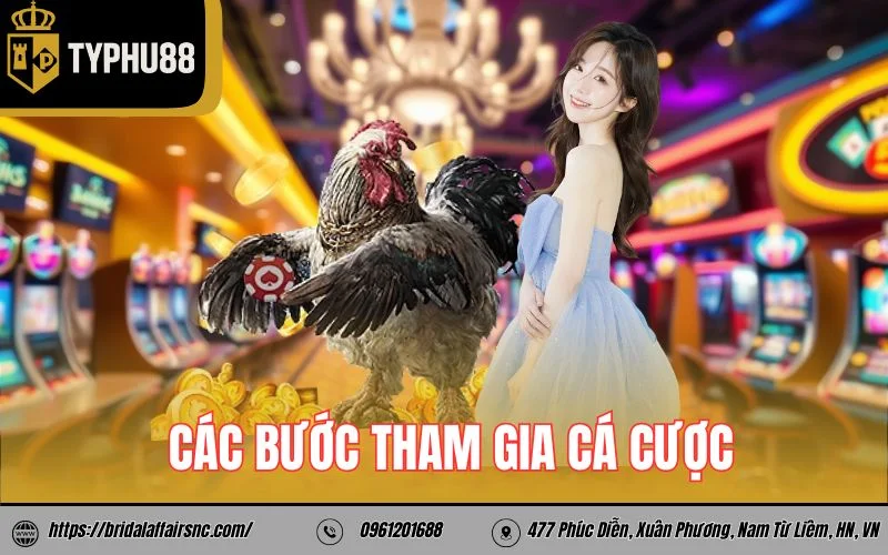 Các bước tham gia cá cược