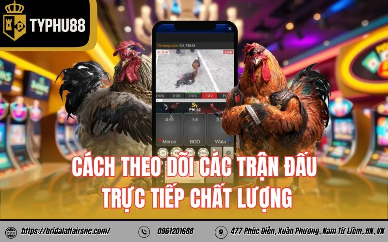 Cách theo dõi các trận đấu trực tiếp chất lượng