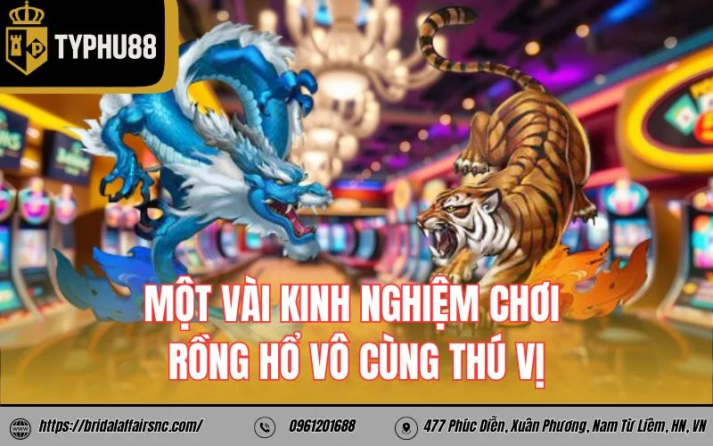 Một vài kinh nghiệm chơi rồng hổ vô cùng thú vị