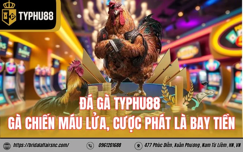 Đá gà ty phu 88 – Gà chiến máu lửa, cược phát là bay tiền